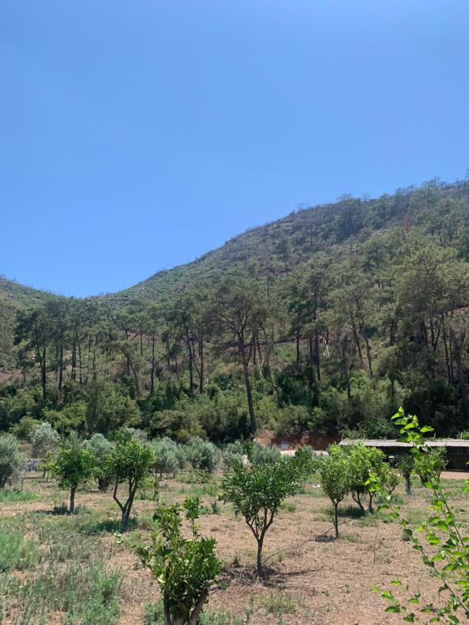 Doga Ciftlik Konaklama Marmaris Exterior photo
