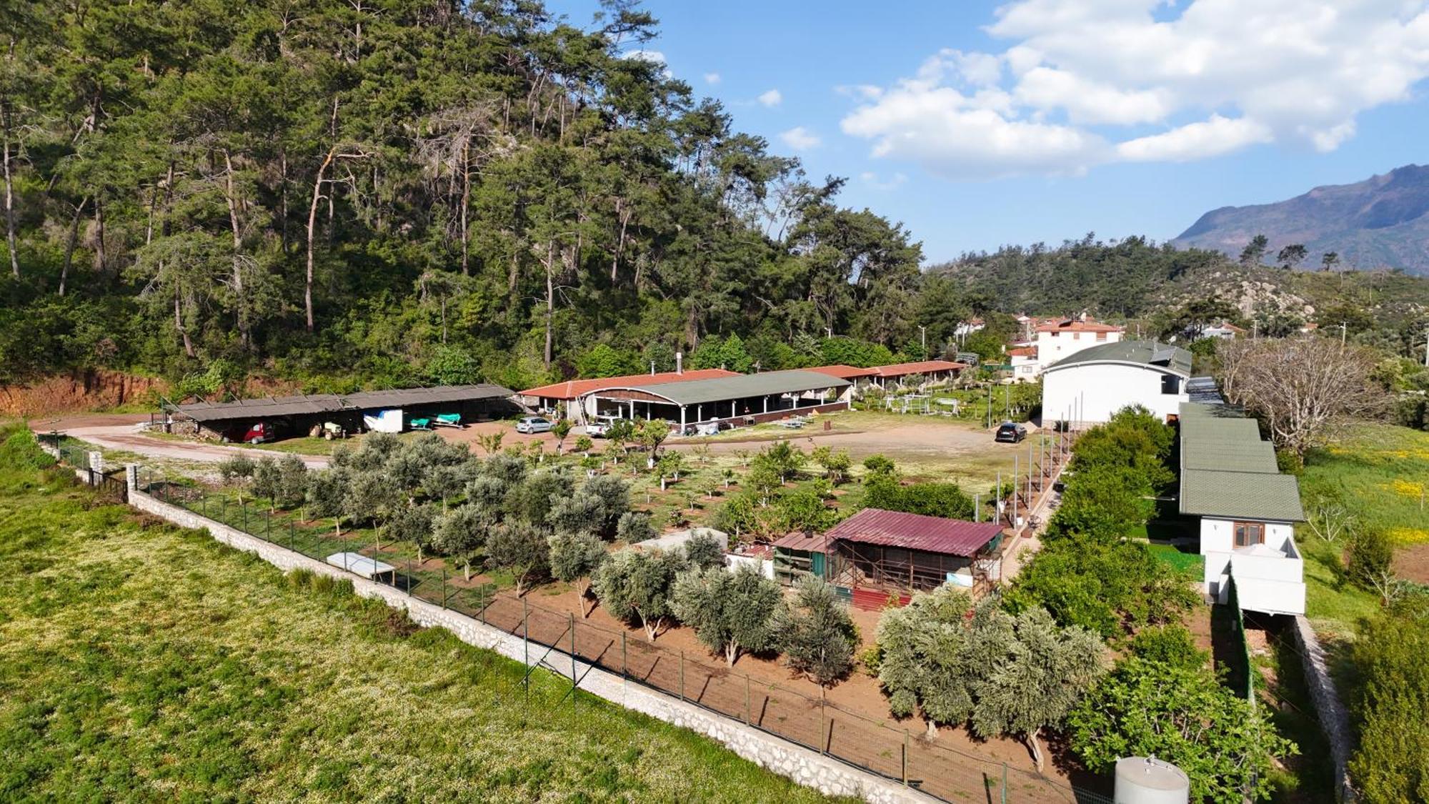 Doga Ciftlik Konaklama Marmaris Exterior photo