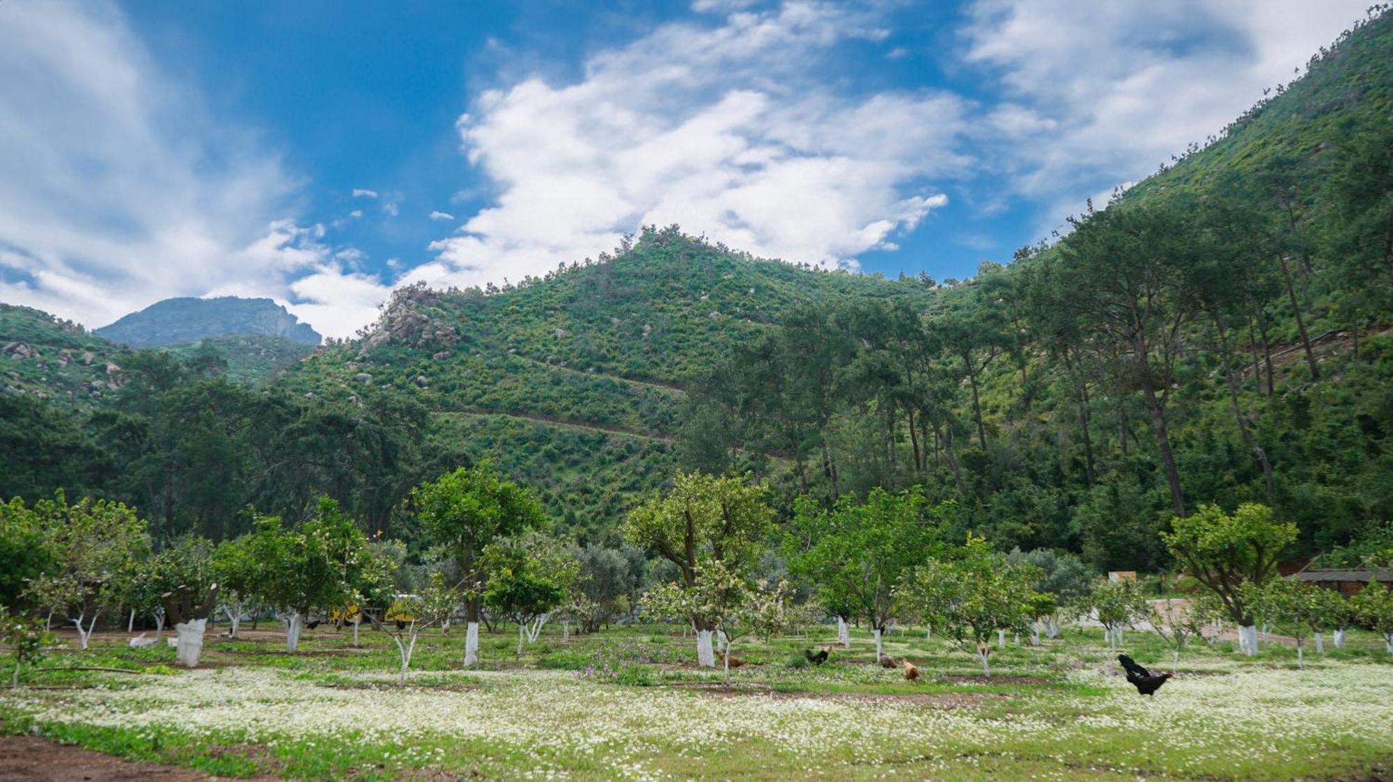 Doga Ciftlik Konaklama Marmaris Exterior photo